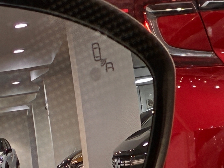 Dacia Sandero Stepway Comfort foto 24